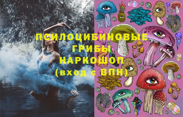 спиды Абаза