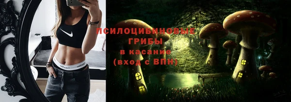 первитин Новодвинск