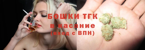 прущие грибы Алзамай