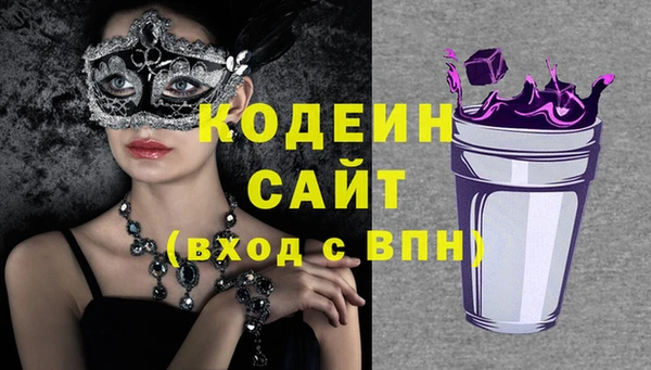 прущие грибы Алзамай