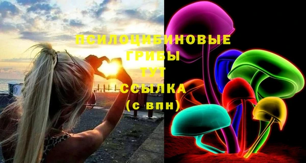 МДПВ Алексин